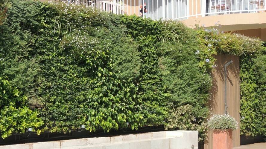 buresinnova jardin vertical|upm-jardinesverticales-1